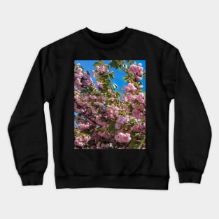 Cherry Blossoms Crewneck Sweatshirt
